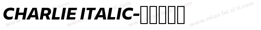 CHARLIE ITALIC字体转换
